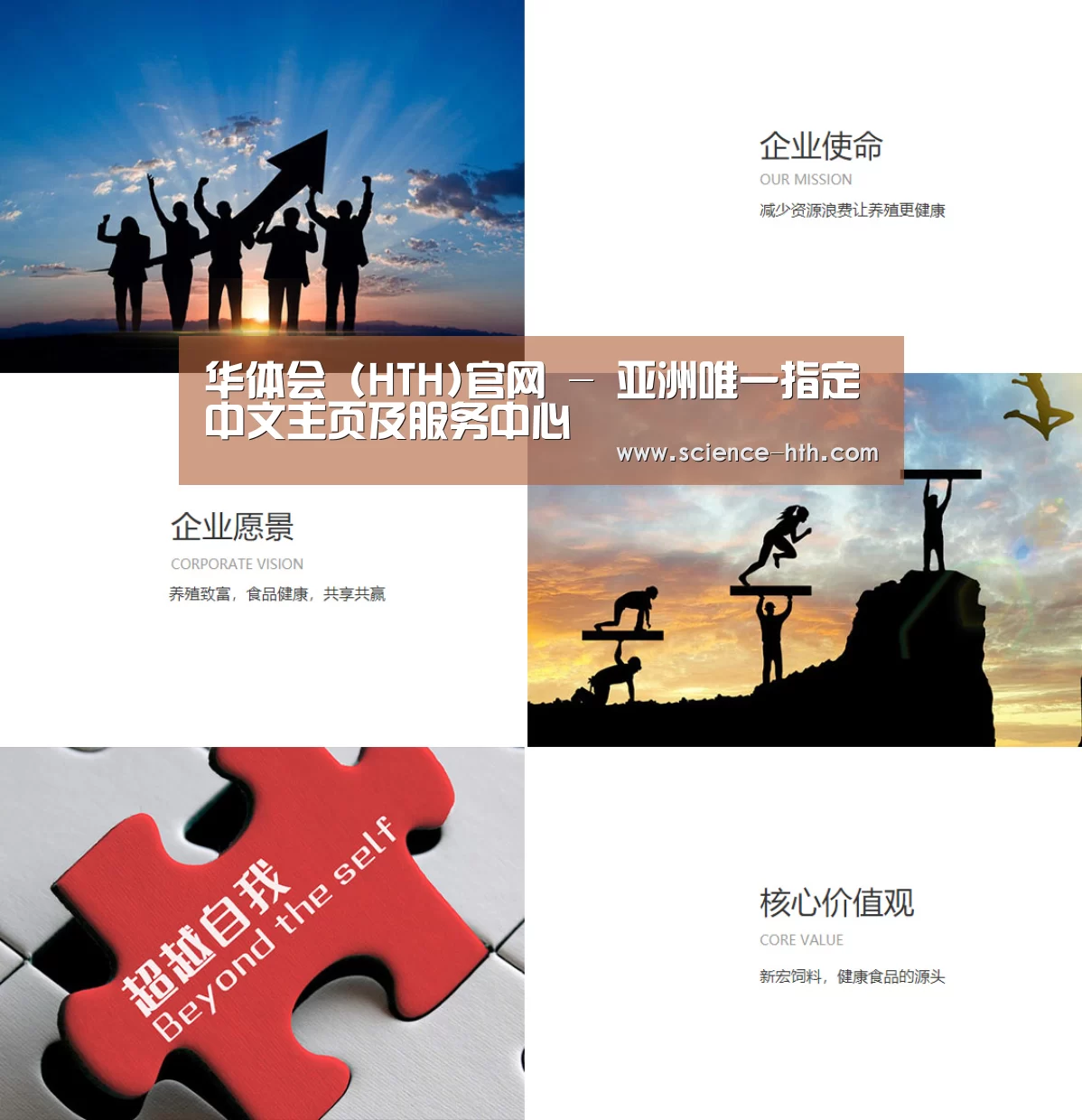 企业文化(图1)